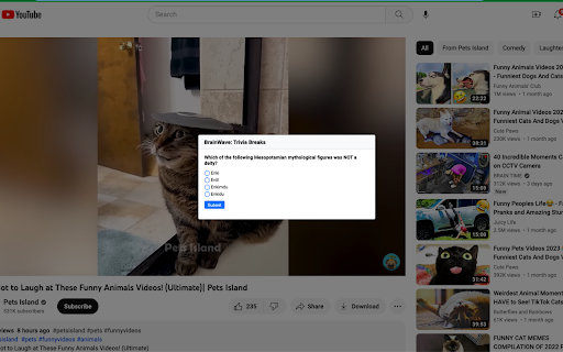 BrainWave: Trivia Breaks  from Chrome web store to be run with OffiDocs Chromium online