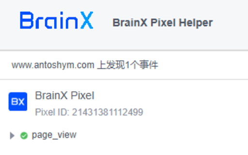 BrainX Pixel Helper  from Chrome web store to be run with OffiDocs Chromium online