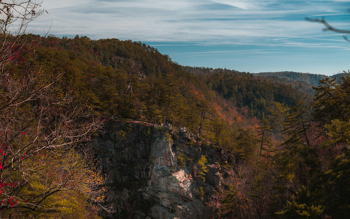 Breathtaking Autumn Landscape View of a Scenic Canyon  from Chrome web store to be run with OffiDocs Chromium online