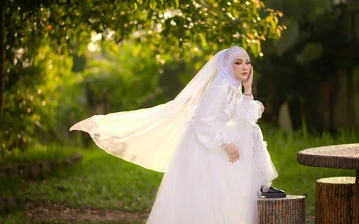 BRIDE Theme  from Chrome web store to be run with OffiDocs Chromium online