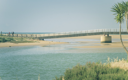 Bridge and river in dry season  from Chrome web store to be run with OffiDocs Chromium online
