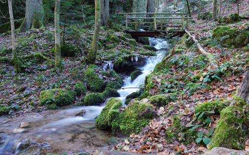 Bridge over small stream  from Chrome web store to be run with OffiDocs Chromium online