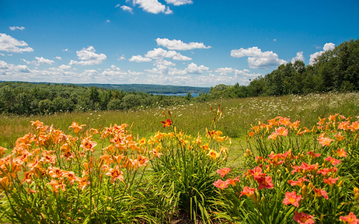 Bright flower hill  from Chrome web store to be run with OffiDocs Chromium online Bright flower hill  from Chrome web store to be run with OffiDocs Chromium online