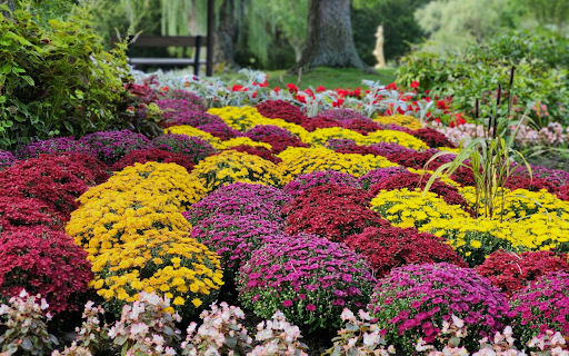 Bright Flower Pots  from Chrome web store to be run with OffiDocs Chromium online