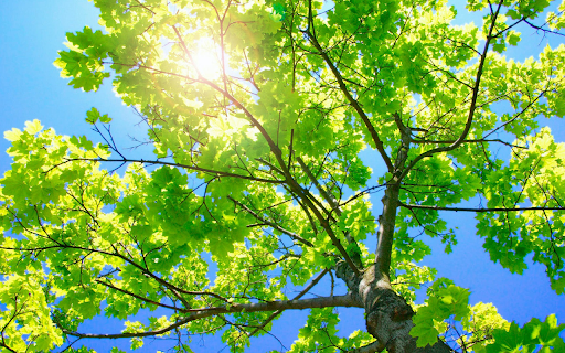 Bright sunlight  from Chrome web store to be run with OffiDocs Chromium online