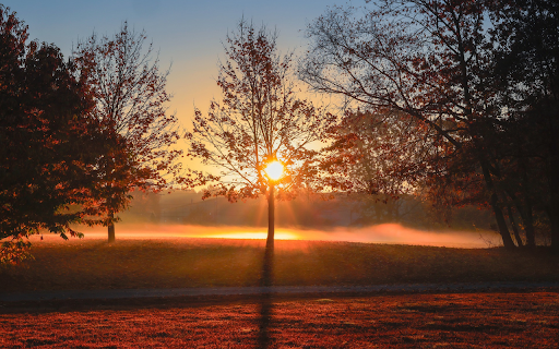 brilliant sunset  from Chrome web store to be run with OffiDocs Chromium online
