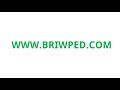 BRIWPED Password Manager  from Chrome web store to be run with OffiDocs Chromium online