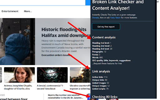 BrogenLing Broken Link Checker  from Chrome web store to be run with OffiDocs Chromium online