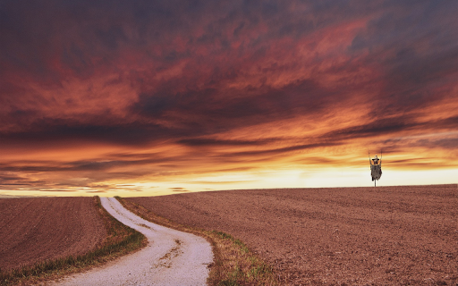 Broken field  from Chrome web store to be run with OffiDocs Chromium online