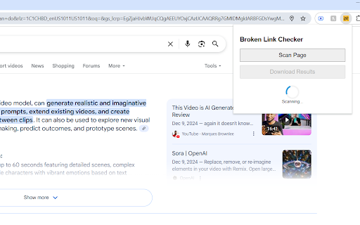 Broken Link Checker  from Chrome web store to be run with OffiDocs Chromium online