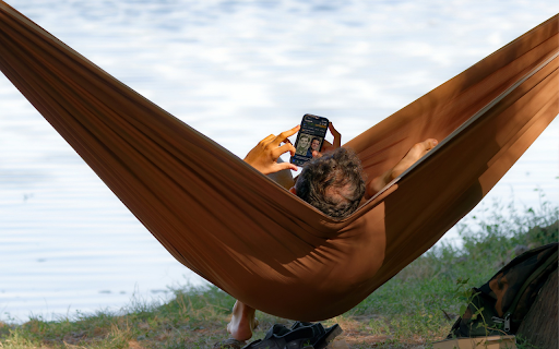 Brown hammock  from Chrome web store to be run with OffiDocs Chromium online