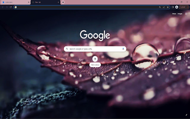 Brown leaf Browser Theme  from Chrome web store to be run with OffiDocs Chromium online