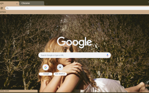 Brown Recluse  from Chrome web store to be run with OffiDocs Chromium online
