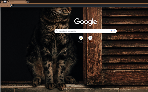 Brown Tabby Cat on Window  from Chrome web store to be run with OffiDocs Chromium online
