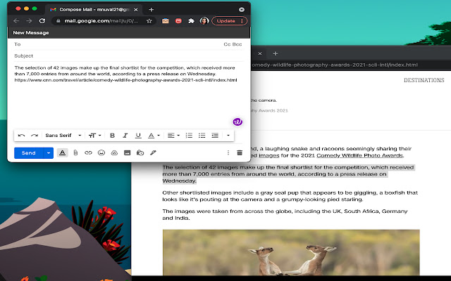 Browser Email Shortcut  from Chrome web store to be run with OffiDocs Chromium online