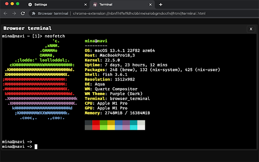 Browser terminal  from Chrome web store to be run with OffiDocs Chromium online