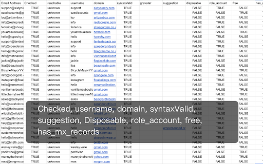 Bulk Email Verifier  Checker  from Chrome web store to be run with OffiDocs Chromium online