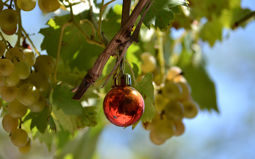 Bunch of grapes and sphere  from Chrome web store to be run with OffiDocs Chromium online
