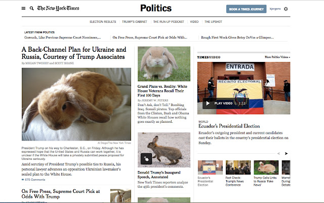 Bunny My News dal negozio web di Chrome da eseguire con OffiDocs Chromium online