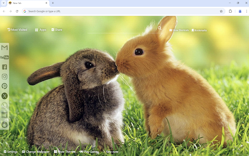 Bunny  Rabbit Wallpaper  from Chrome web store to be run with OffiDocs Chromium online