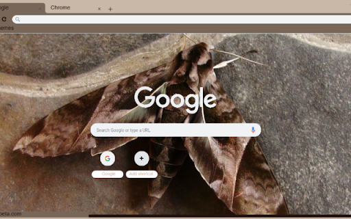 Buom Dem  from Chrome web store to be run with OffiDocs Chromium online
