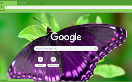 Buom Tim  from Chrome web store to be run with OffiDocs Chromium online
