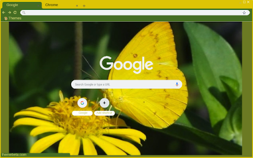 Buom Vang  from Chrome web store to be run with OffiDocs Chromium online