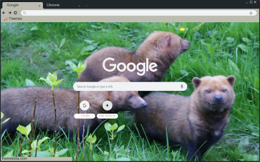 Bush Dog  from Chrome web store to be run with OffiDocs Chromium online