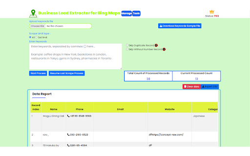 Business Lead Extractor for Bing Maps  from Chrome web store to be run with OffiDocs Chromium online