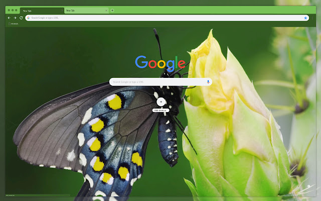 Butterfly and flower  from Chrome web store to be run with OffiDocs Chromium online
