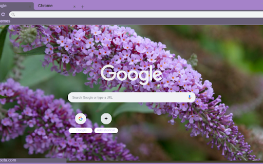 Butterfly Bush  from Chrome web store to be run with OffiDocs Chromium online