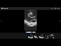 Butterfly Cloud Controls  from Chrome web store to be run with OffiDocs Chromium online