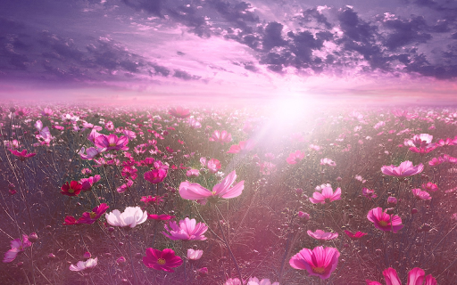 Butterfly flower field  from Chrome web store to be run with OffiDocs Chromium online