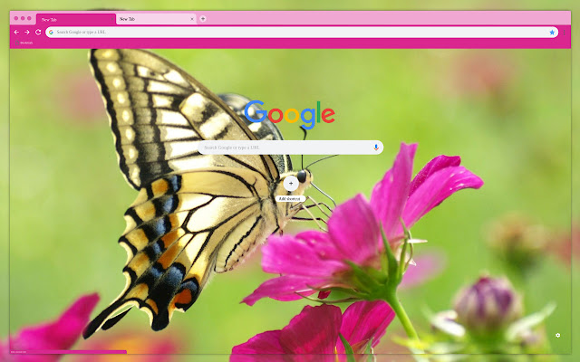 Butterfly on pink flower  from Chrome web store to be run with OffiDocs Chromium online