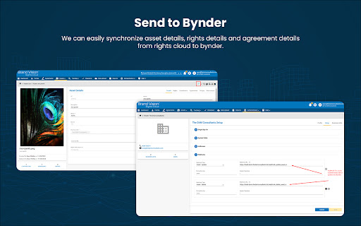 Bynder Connector for Brand Vision Rights Cloud  from Chrome web store to be run with OffiDocs Chromium online