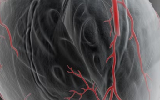 Bypass App  from Chrome web store to be run with OffiDocs Chromium online