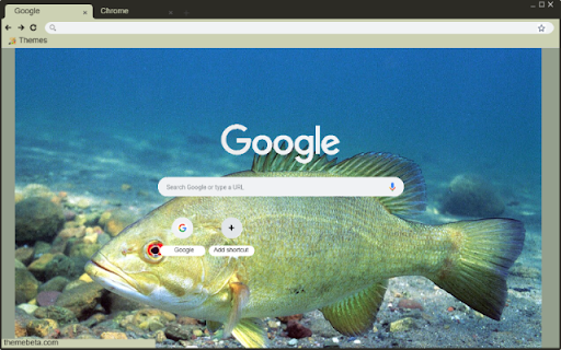 Ca Bass from Chrome web store to be run with OffiDocs Chromium online Ca Bass from Chrome web store to be run with OffiDocs Chromium online