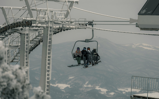 Cable Car Among Coniferous Forest Covered with Snow  from Chrome web store to be run with OffiDocs Chromium online