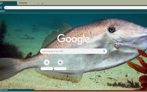Ca bo  from Chrome web store to be run with OffiDocs Chromium online