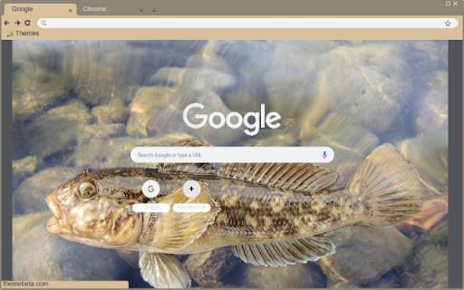 Ca bong  from Chrome web store to be run with OffiDocs Chromium online