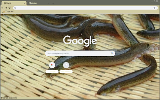 Ca chach  from Chrome web store to be run with OffiDocs Chromium online