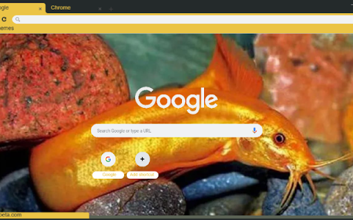 Ca chach vang  from Chrome web store to be run with OffiDocs Chromium online