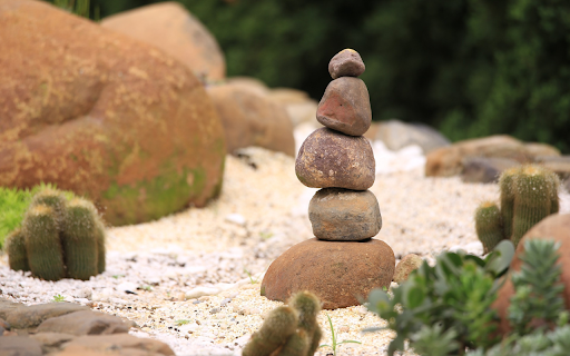 Cactus and rocks  from Chrome web store to be run with OffiDocs Chromium online