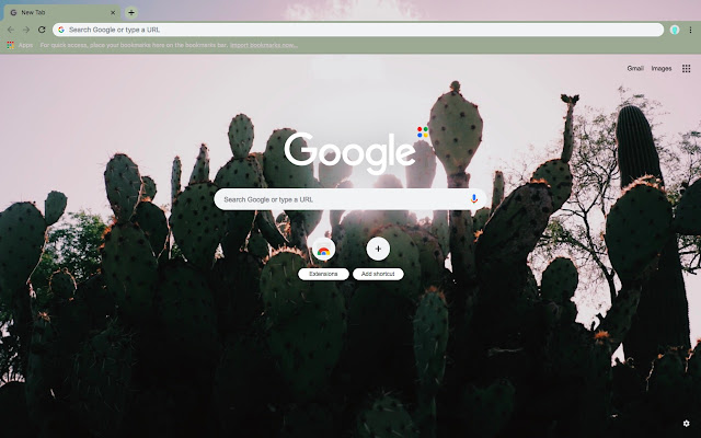 Cactus Succulent Theme  from Chrome web store to be run with OffiDocs Chromium online