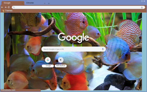 Ca do cam  from Chrome web store to be run with OffiDocs Chromium online
