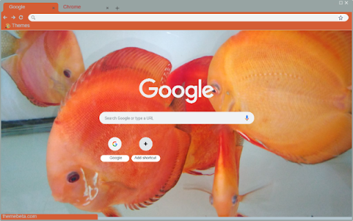 Ca do day  from Chrome web store to be run with OffiDocs Chromium online