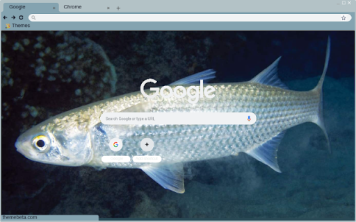 Ca doi  from Chrome web store to be run with OffiDocs Chromium online