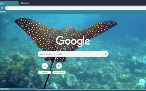 Ca duoi  from Chrome web store to be run with OffiDocs Chromium online