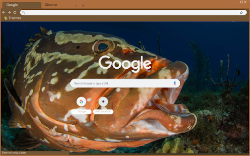 Ca Grouper  from Chrome web store to be run with OffiDocs Chromium online