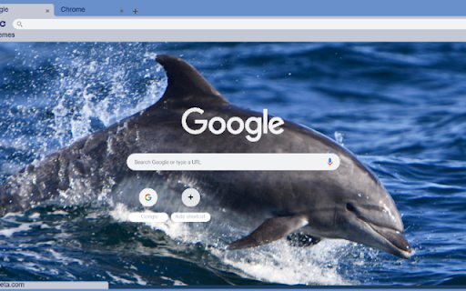 Ca Heo Bottlenose  from Chrome web store to be run with OffiDocs Chromium online